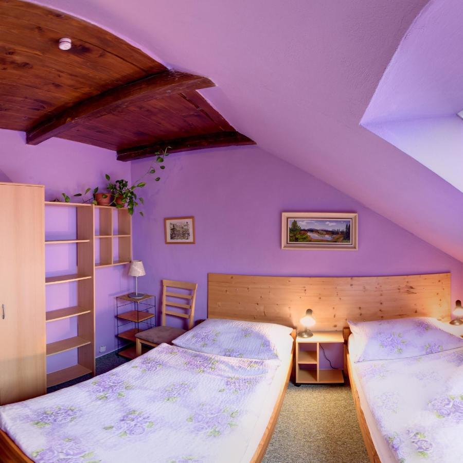 Penzion U Lesa Ceske Budejovice Dış mekan fotoğraf