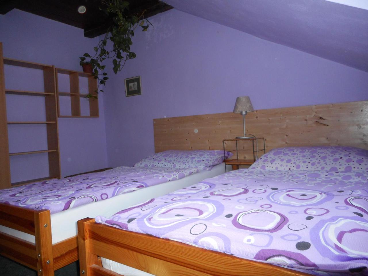Penzion U Lesa Ceske Budejovice Dış mekan fotoğraf